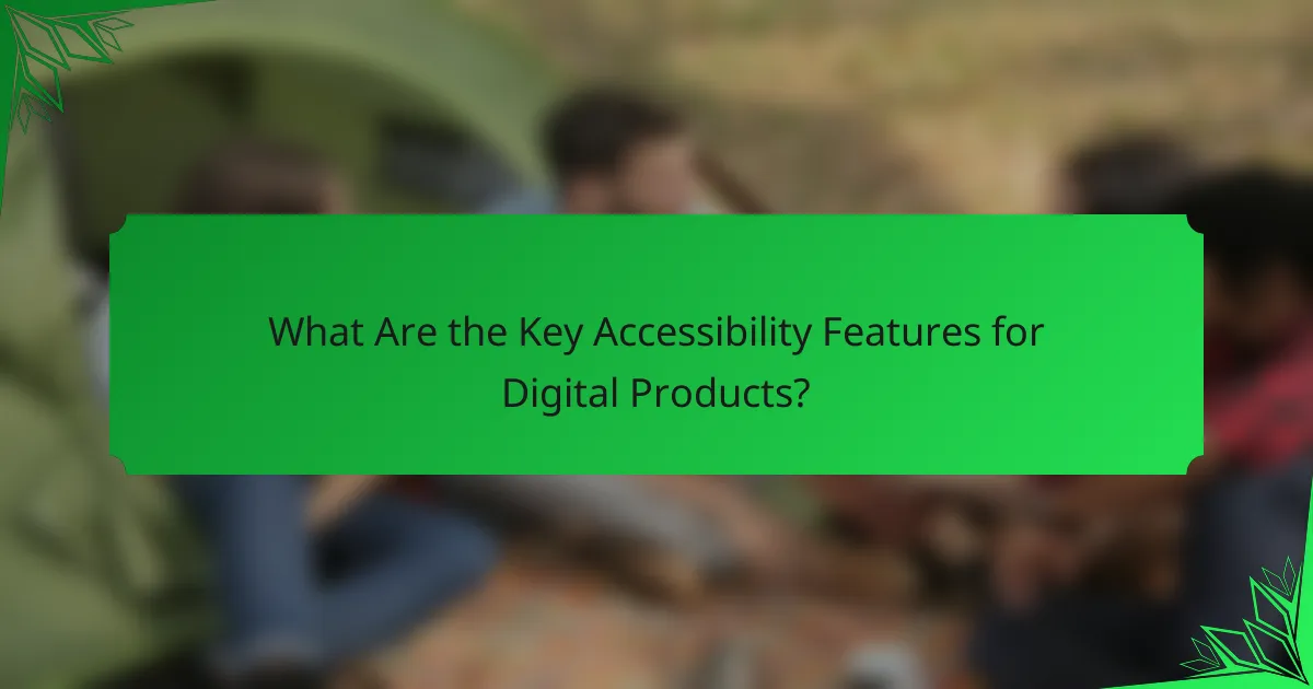What Are the Key Accessibility Features for Digital Products?