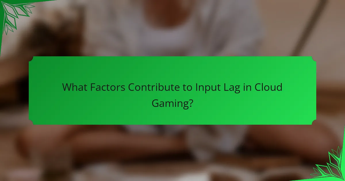 What Factors Contribute to Input Lag in Cloud Gaming?